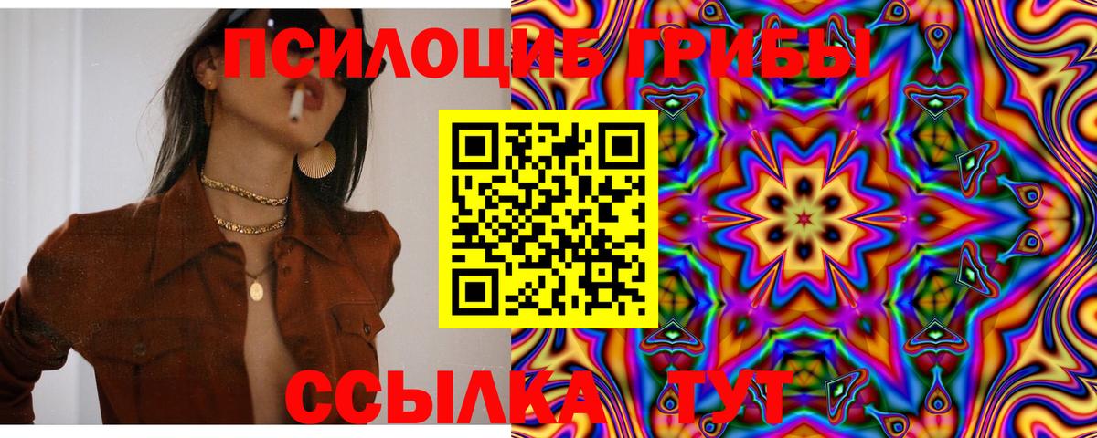 Псилоцибиновые грибы Psilocybe  Псилоцибиновые грибы Cubensis  Великий Новгород  где найти   Вход с VPN 